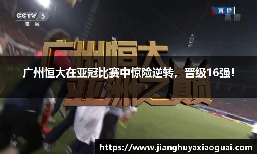 半岛·BOB官方网站
